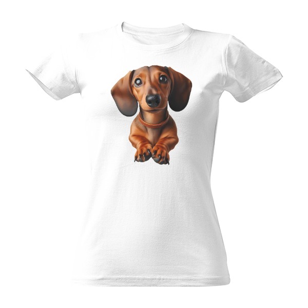 Tričko s potiskem hladkosrstý jezevčík