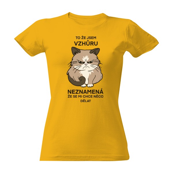 Kočka - nechce se mi nic dělat